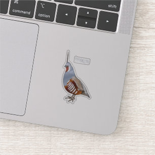 Sticker Illustration d'oiseau de caille de montagne