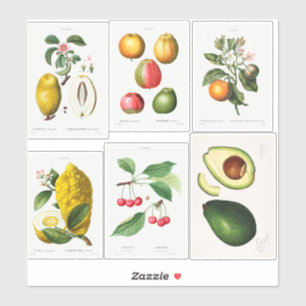 Sticker Illustrations botaniques