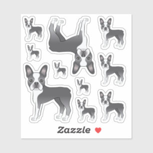Sticker Illustrations de chien Boston Terrier bleu et blan