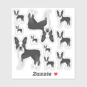 Sticker Illustrations de chien Boston Terrier noir et blan