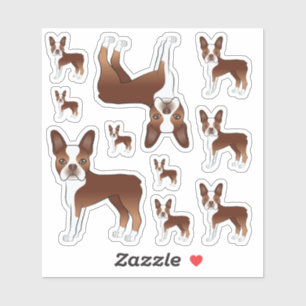 Sticker Illustrations Red And White Boston Terrier Dog