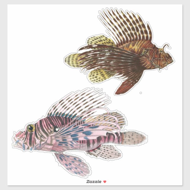 Sticker Impression Artiste Poisson Tropical Illustration V (Feuille)