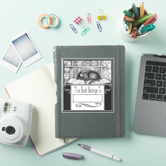 Sticker INK Maîtresse Lenore la bibliothèque Plaque de cha (Couverture iPad)