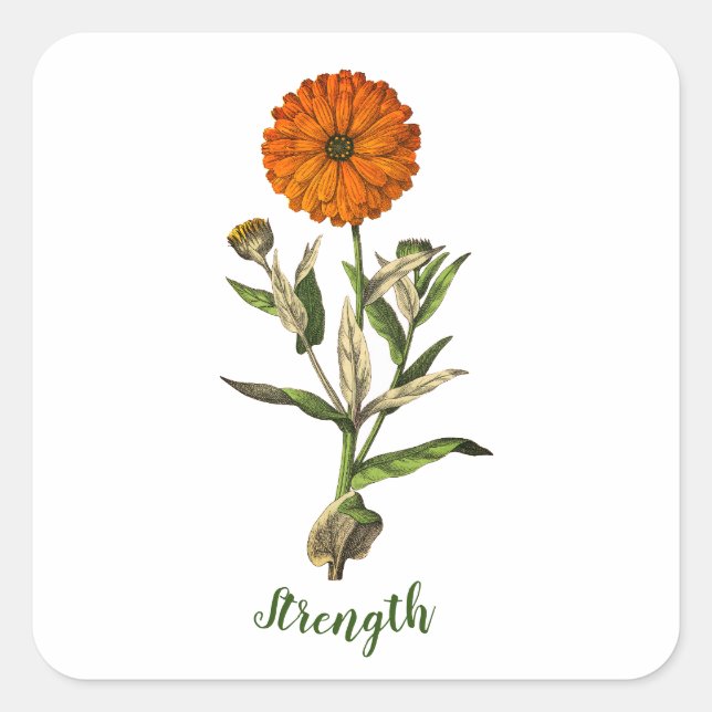 Sticker Inspirationnel de Marigold Strength (Devant)