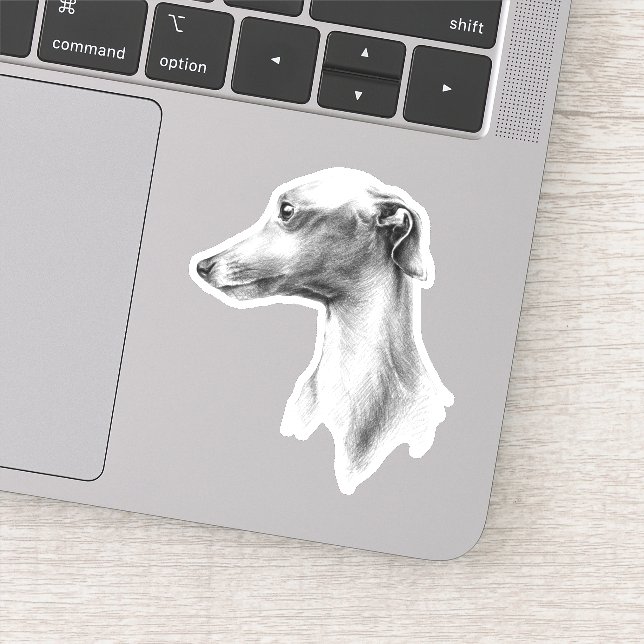 Sticker Italien Greyhound Whippet portrait de chien dessin (Détail)