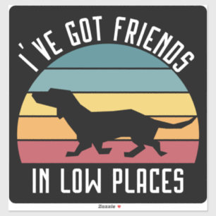 Sticker J'ai des amis à des endroits bas