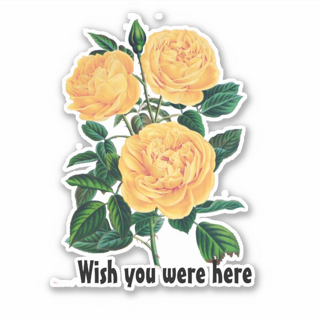 Sticker J'aimerais que vous soyez ici, Yellow Roses design (Devant)
