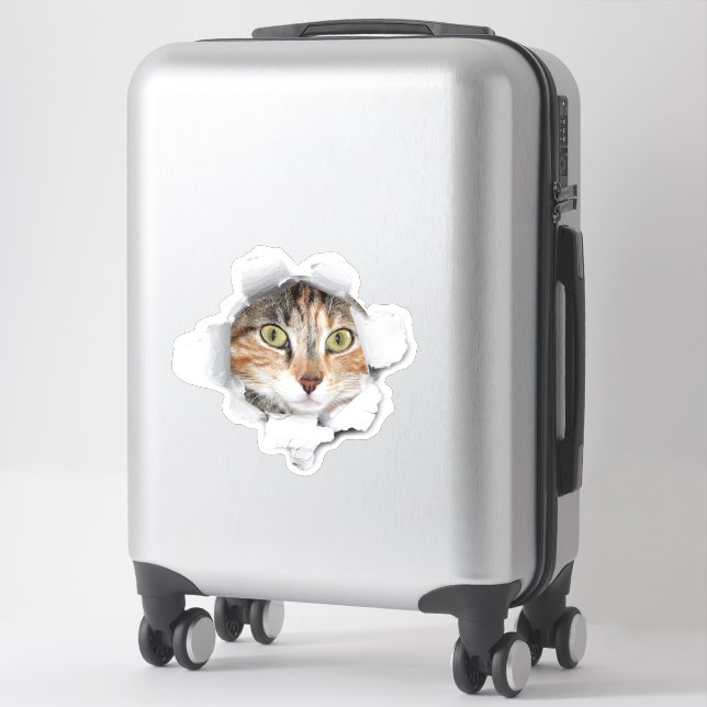 Sticker Jetez un coup d'oeil à une valise de chat (Sur valise)