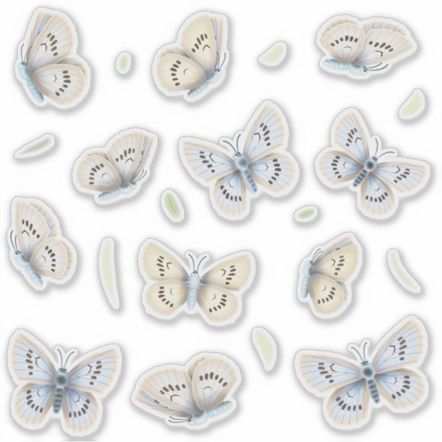 Sticker Jolies papillons Fenêtre transparente et miroir (Devant)