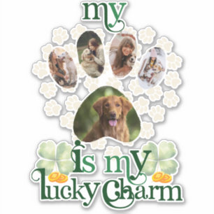 Sticker Jote Custom Paw Photos Chien St Patrick's Day