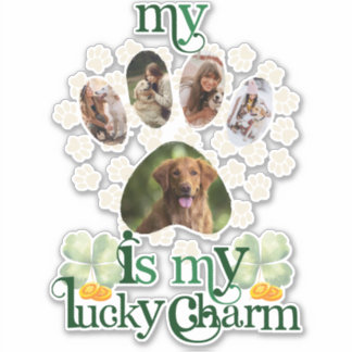 Sticker Jote Custom Paw Photos Chien St Patrick's Day