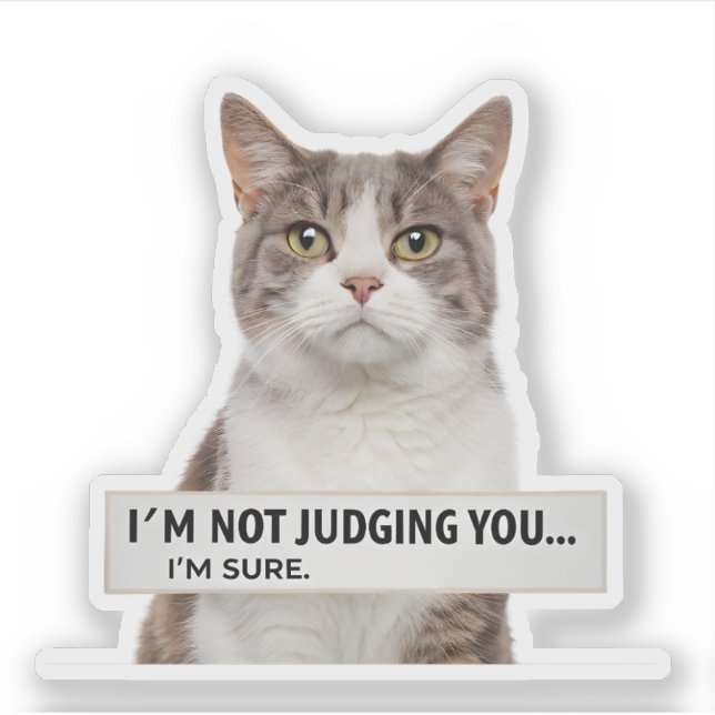 Sticker Judging Cat Sarcastic Quote Minimal Art (Devant)