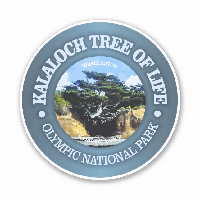 Sticker Kalaloch Tree of Life (Devant)