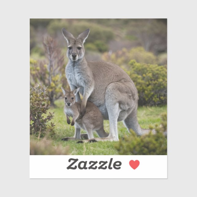 Sticker Kangaroo et Joey (Feuille)
