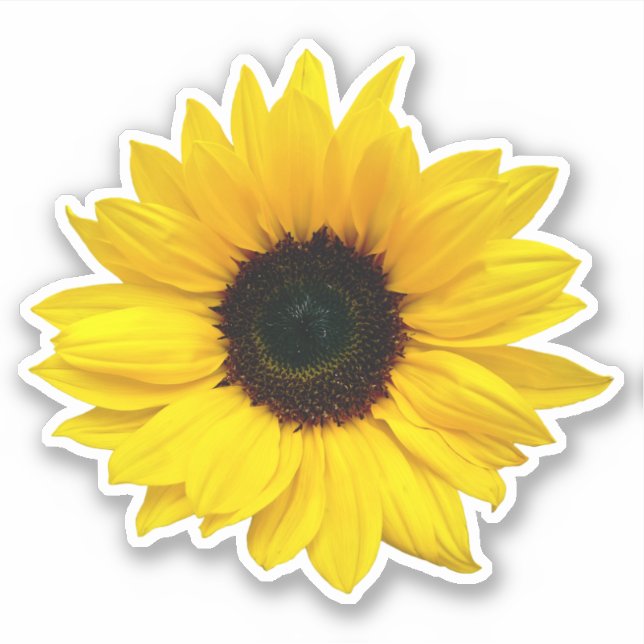 Sticker Kiss-Cut Fleur de Tournesol Jaune (Devant)