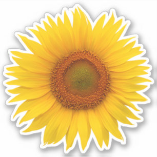 Sticker Kiss-Cut Fleur de Tournesol Orange Jaune