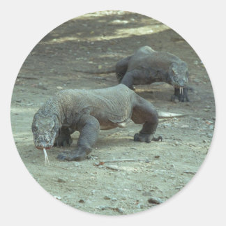 Sticker Komodo Dragon