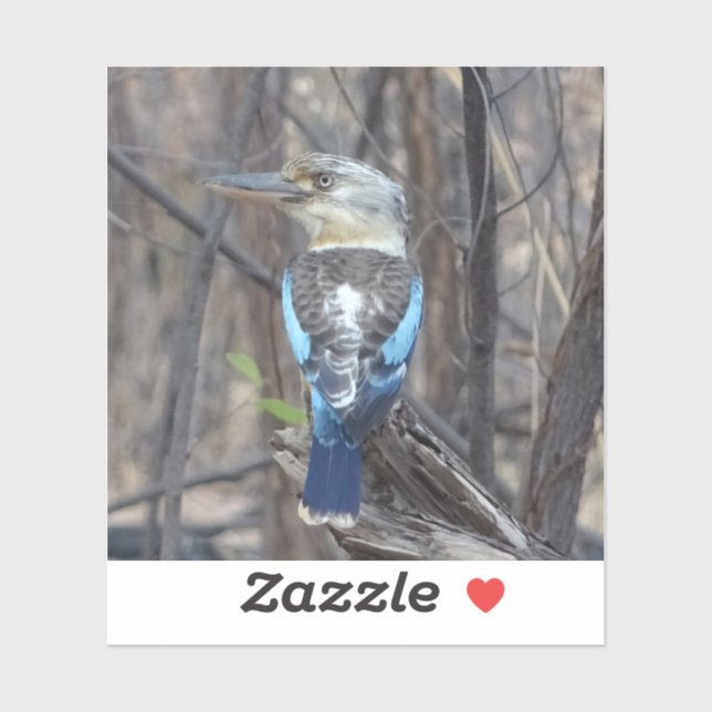 Sticker Kookaburra Bird (Feuille)
