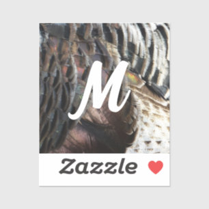 Sticker La Turquie sauvage Plumes I Abstrait Nature Design