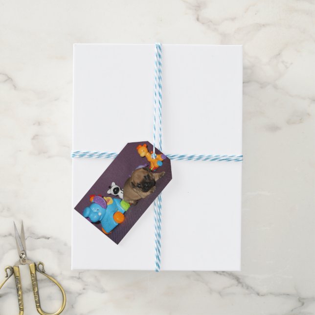 Sticker Label French Bulldog Gift (With Twine)
