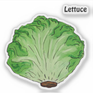 Sticker Laitue