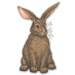 Sticker Lapin 3