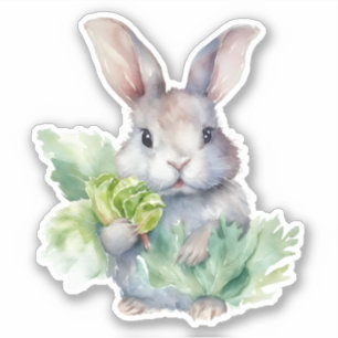 Sticker Lapin avec chou