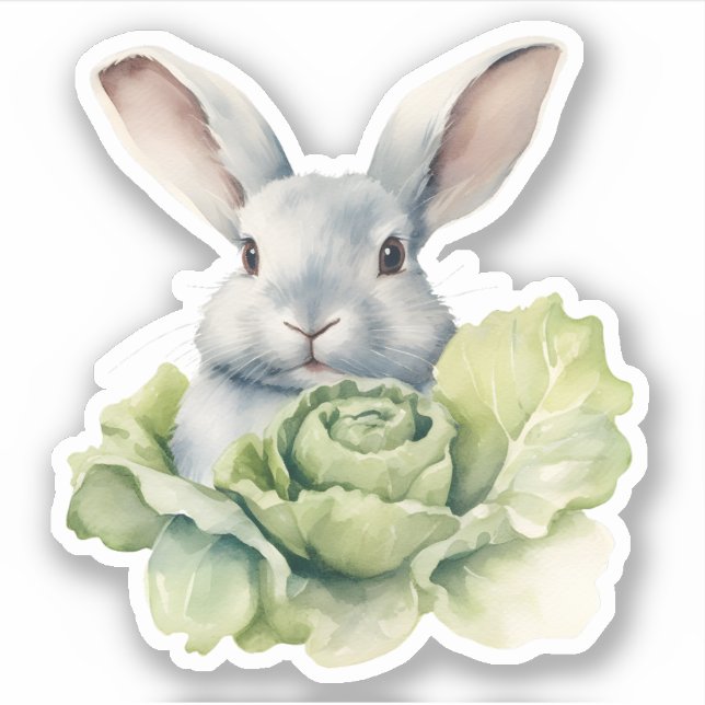 Sticker Lapin avec chou (Devant)