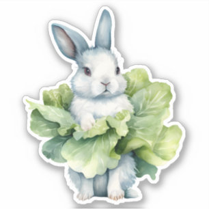 Sticker Lapin avec chou