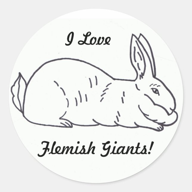 Sticker lapin géant flamand (Devant)