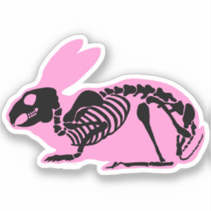 Sticker Lapin squelette rose