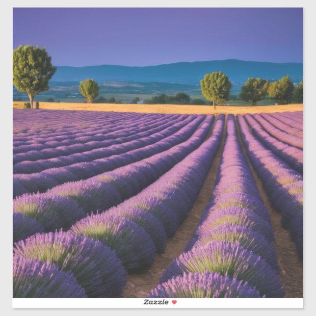 Sticker Lavande Nature Extérieur Paysage Calme Tranquille (Feuille)