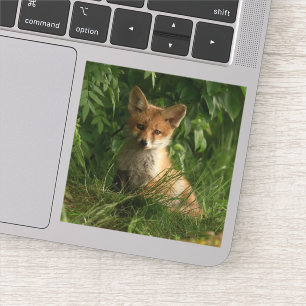 Sticker Le chou renard dans une forêt verte