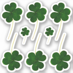 Sticker Le Shamrock irlandais Green Clovers St. Patrick's 