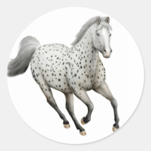 Sticker Leopard Appaloosa Horse Gallopker