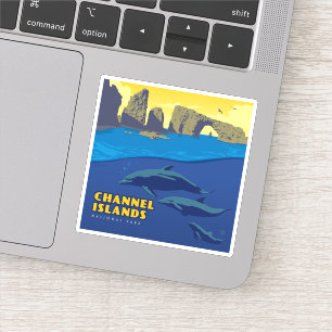 Sticker Les dauphins du parc national des îles Channel