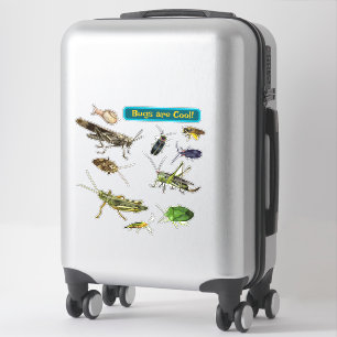 Sticker Les insectes sont cool ! Insectes