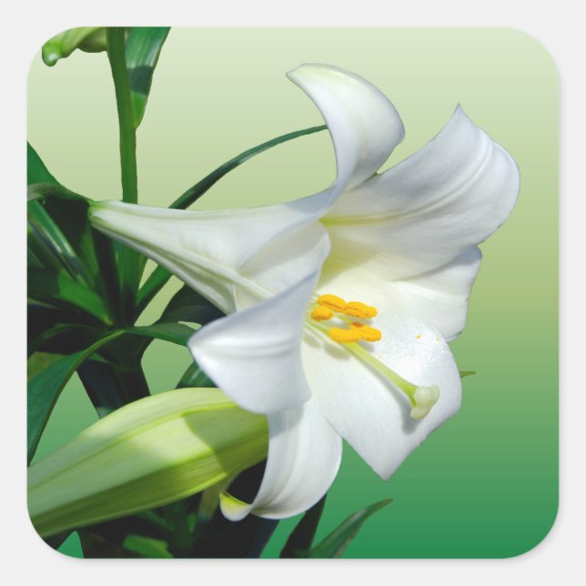 Sticker Lily de Pâques (Devant)