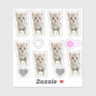 Sticker Little Miss Winter - Chat / Kitten