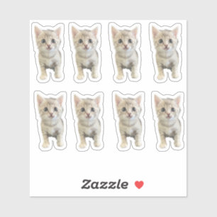 Sticker Little Miss Winter - Chat / Kitten