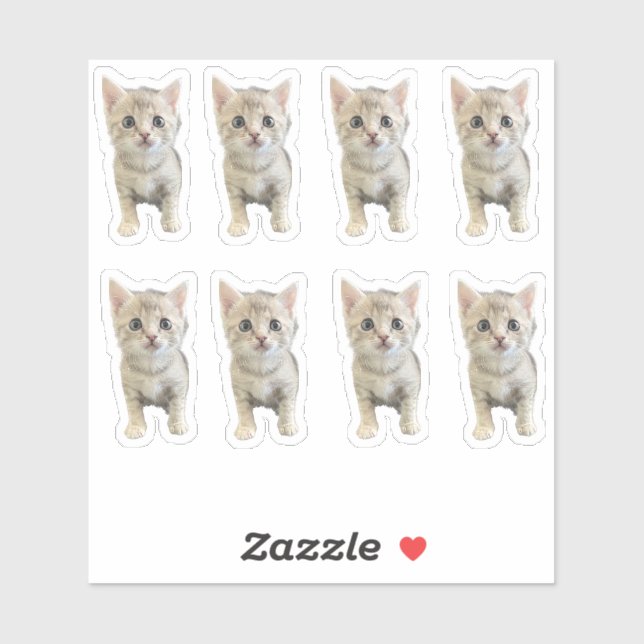 Sticker Little Miss Winter - Chat / Kitten (Feuille)