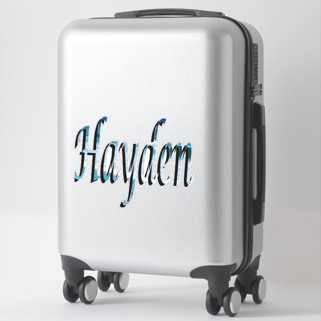 Sticker Logo du nom Hayden (Sur valise)