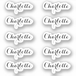 Sticker Lot de 10   Nom du petit script élégant