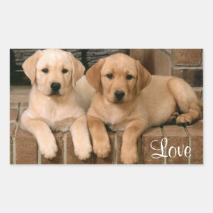 Sticker Love Labrador Retriever Puppies