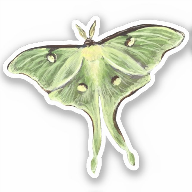 Sticker Luna Moth Vinyl (Recto)