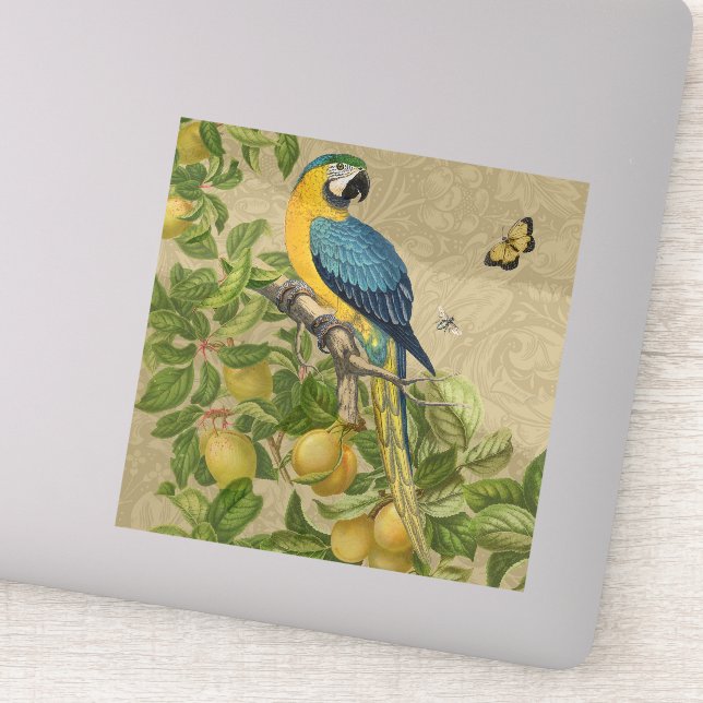 Sticker Macaw Blue Jaune Tropical Jungle Antique (Détail)