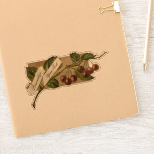 Sticker Magasin d'épicerie de fruits de cerises Vintages s