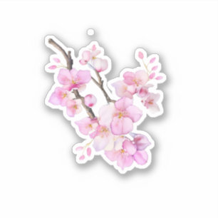 Sticker Magnifiques fleurs de cerisier Sakura rose en aqua