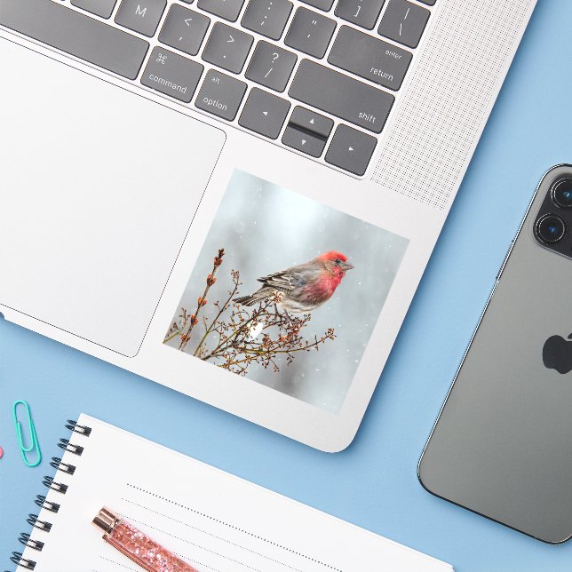 Sticker Maison Finch en Neige - Photo originale (Ordinateur portable avec iPhone)
