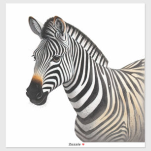 Sticker Majestic Zebra Portrait Réaliste Faune Art